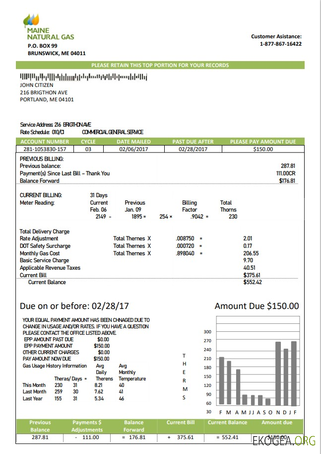 USA Marine Maine Natural Gas Portland utility bill template in Word format